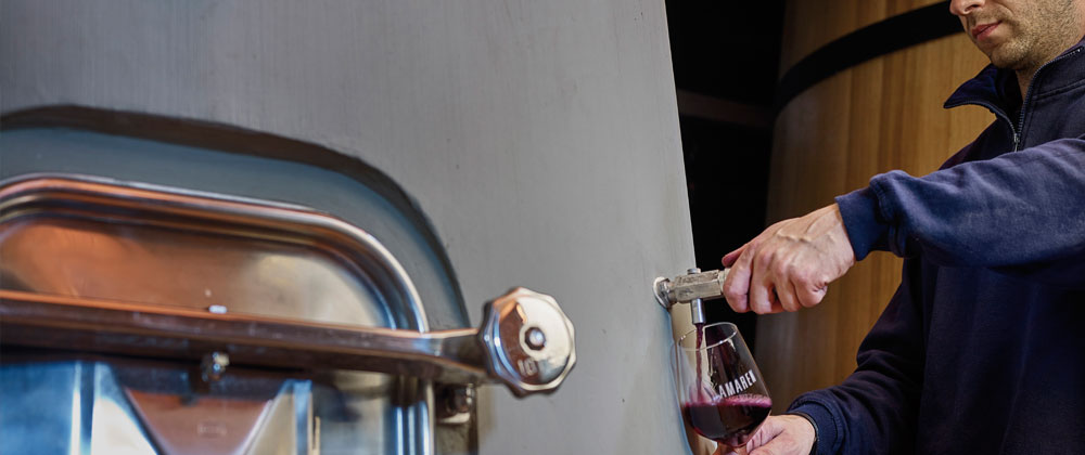 Cata de Bodegas Amaren